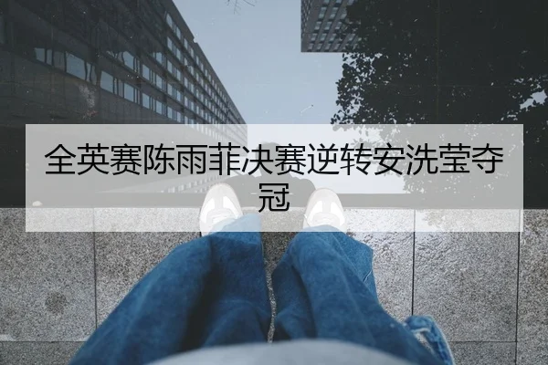 全英赛陈雨菲决赛逆转安洗莹夺冠